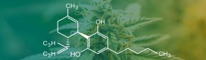 Learn About CBD